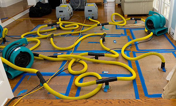 Professional Water Damage Repair technician working in Ellerslie, GA